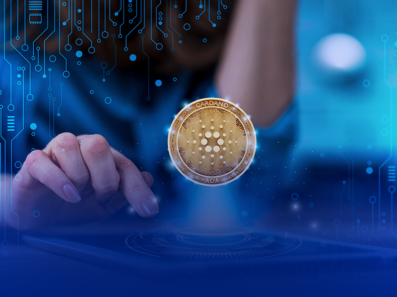 Quais são os Padrões de Segurança para Criptomoedas? Conheça o CCSS